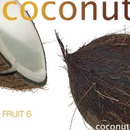 Fruit 6 Coconut