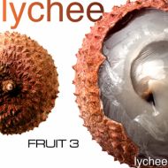 Fruit 3 Lychee