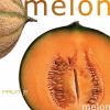 fruit melon 